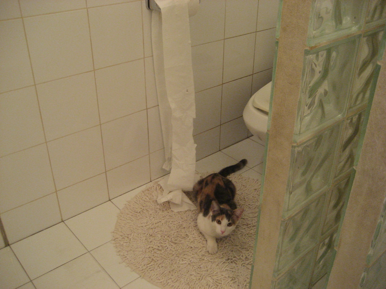 打破豪门魔咒！马里球员的怒吼响彻西非，内马尔一传一射化身降维打击