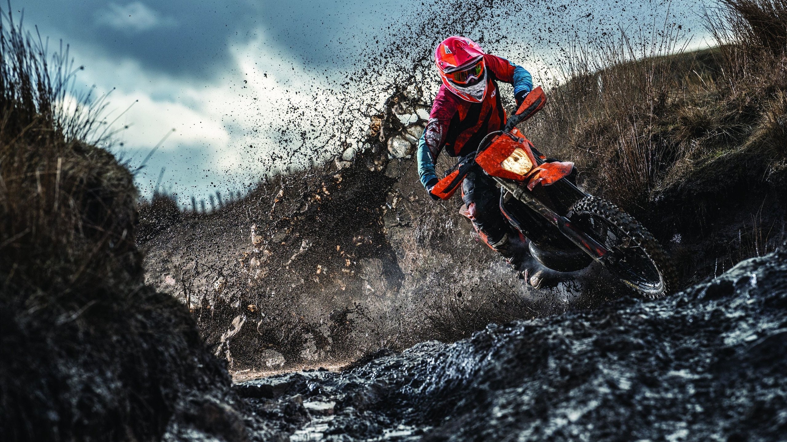 辽宁碾压森林狼的背后,当超级球星被团队风暴淹没